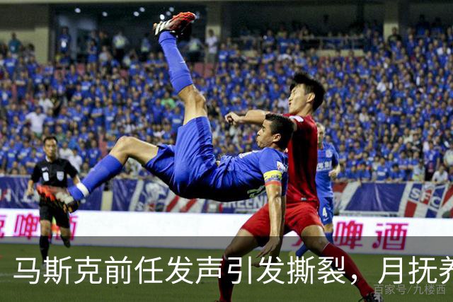 马斯克前任发声引发撕裂，月抚养费骤降至两万美元